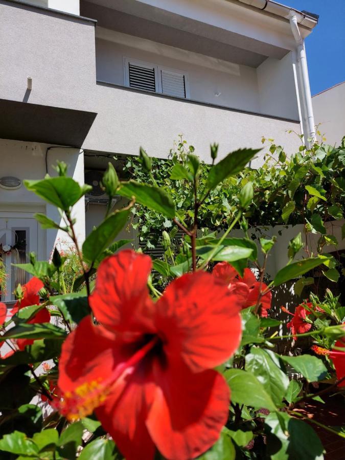 Apartment Eli Pag Town Exterior foto